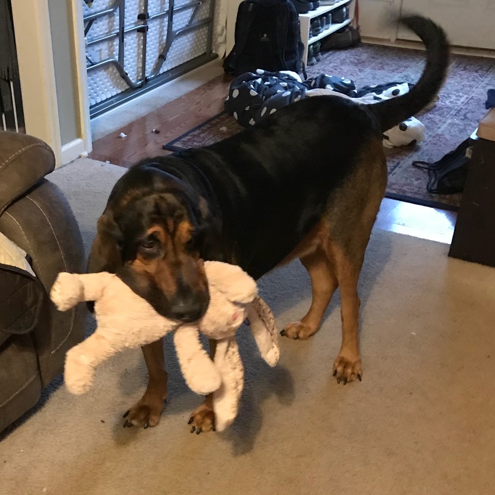 Meet your Posher, Mary